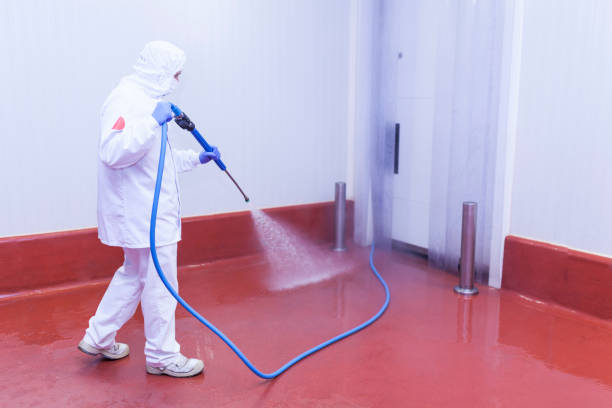 Professional Pressure Washing Services in La Salle, CO